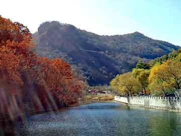 澳门天天开奖免费资料，山东羊驼养殖基地